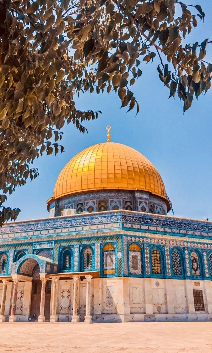 Radiant Dome Majesty