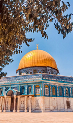 Radiant Dome Majesty